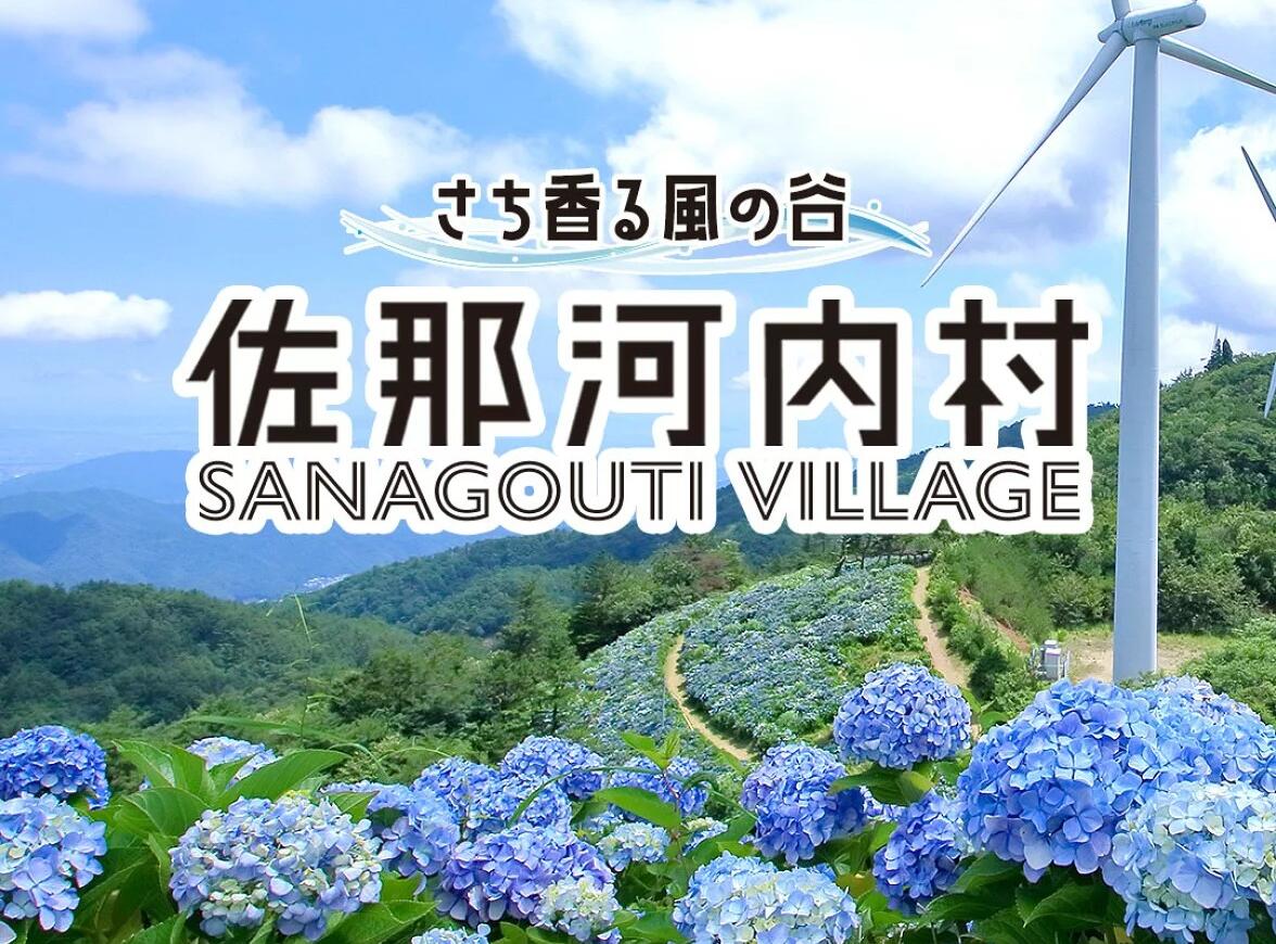 徳島県佐那河内村